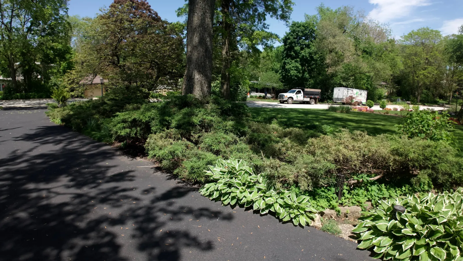 Landscape Install