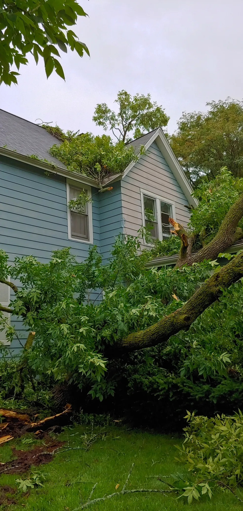 Storm damage tree removal service by Smith Brothers